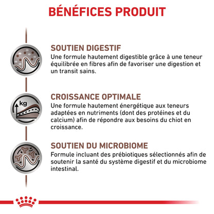 Royal Canin Veterinary Health Nutrition Puppy Gastrointestinal - croquettes chiot