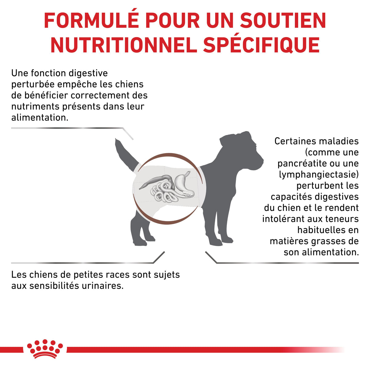Royal Canin Veterinary Gastrointestinal Low Fat Small Dog – croquettes chien