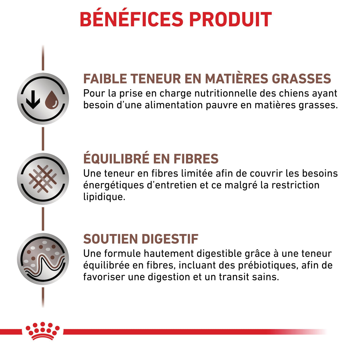 Royal Canin Veterinary Gastrointestinal Low Fat Small Dog – croquettes chien