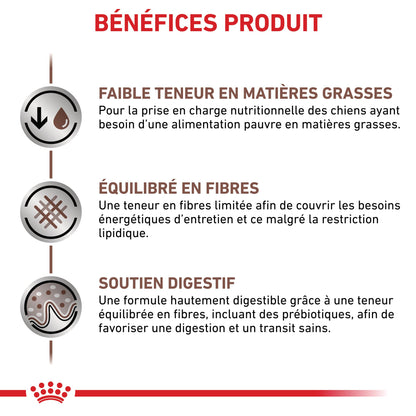 Royal Canin Veterinary Gastrointestinal Low Fat Small Dog – croquettes chien