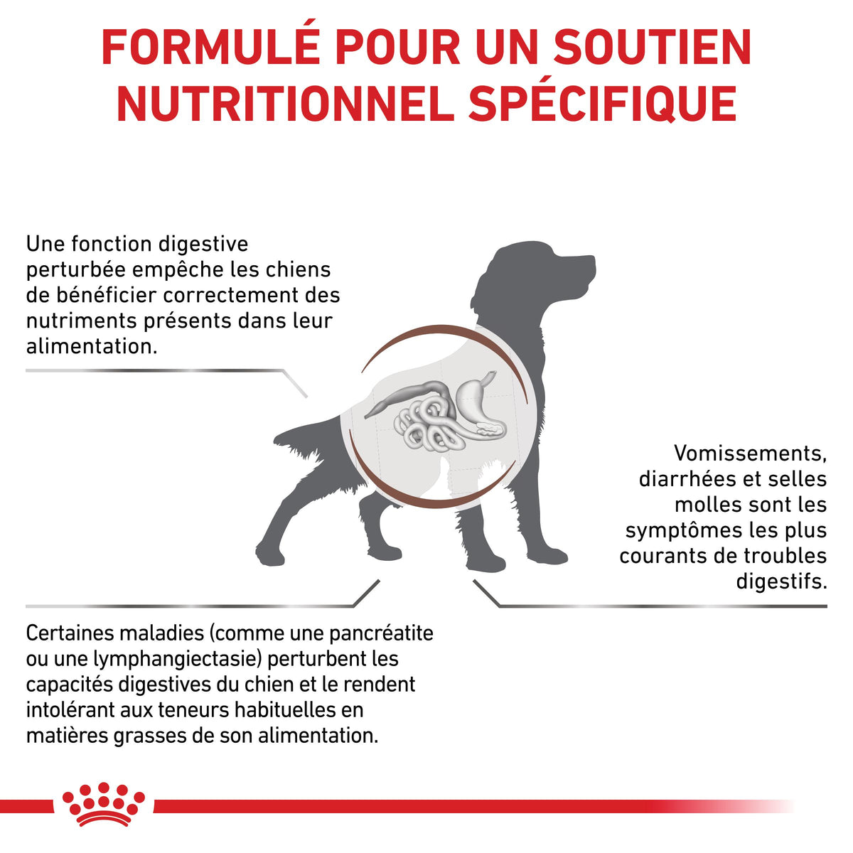 Royal Canin Veterinary Gastrointestinal Low Fat en mousse - pâtée chien