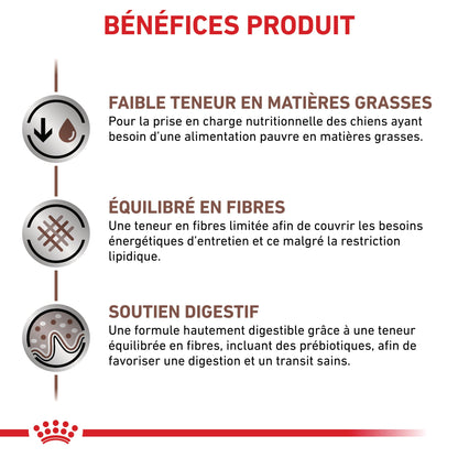 Royal Canin Veterinary Gastrointestinal Low Fat en mousse - pâtée chien