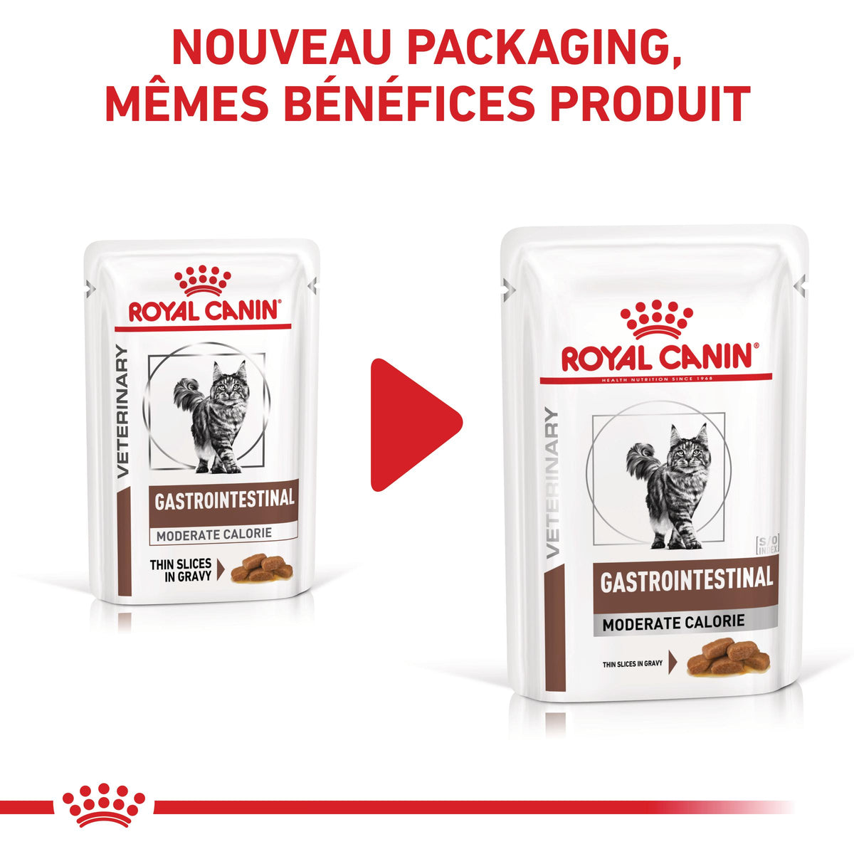 Royal Canin Veterinary Gastrointestinal Moderate Calorie - croquettes chat