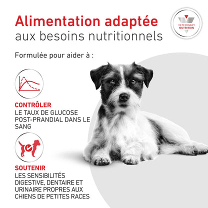 ROYAL CANIN Veterinary Diets Glycobalance pour chien