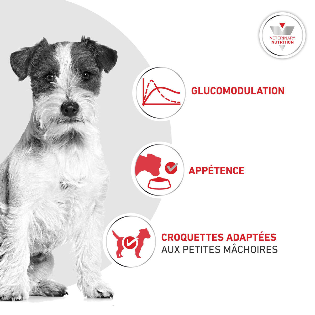 ROYAL CANIN Veterinary Diets Glycobalance pour chien