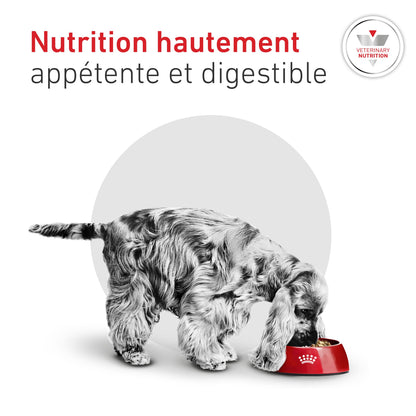 ROYAL CANIN Veterinary Diets Glycobalance pour chien