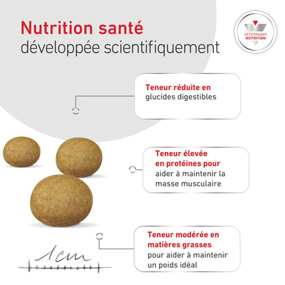 ROYAL CANIN Veterinary Diets Glycobalance pour chien