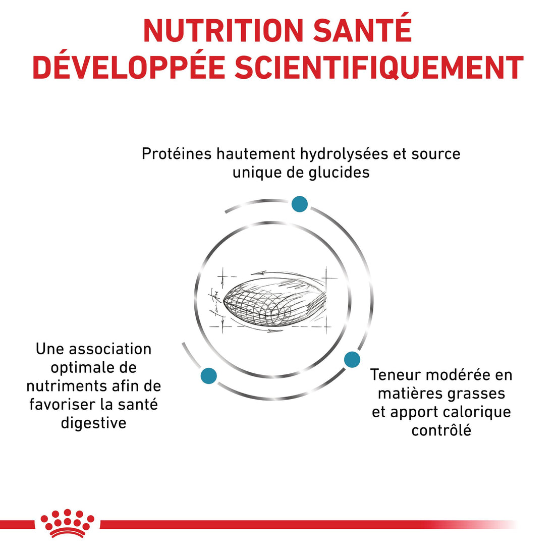 Royal Canin Veterinary Hypoallergenic Moderate Calorie - croquettes chien