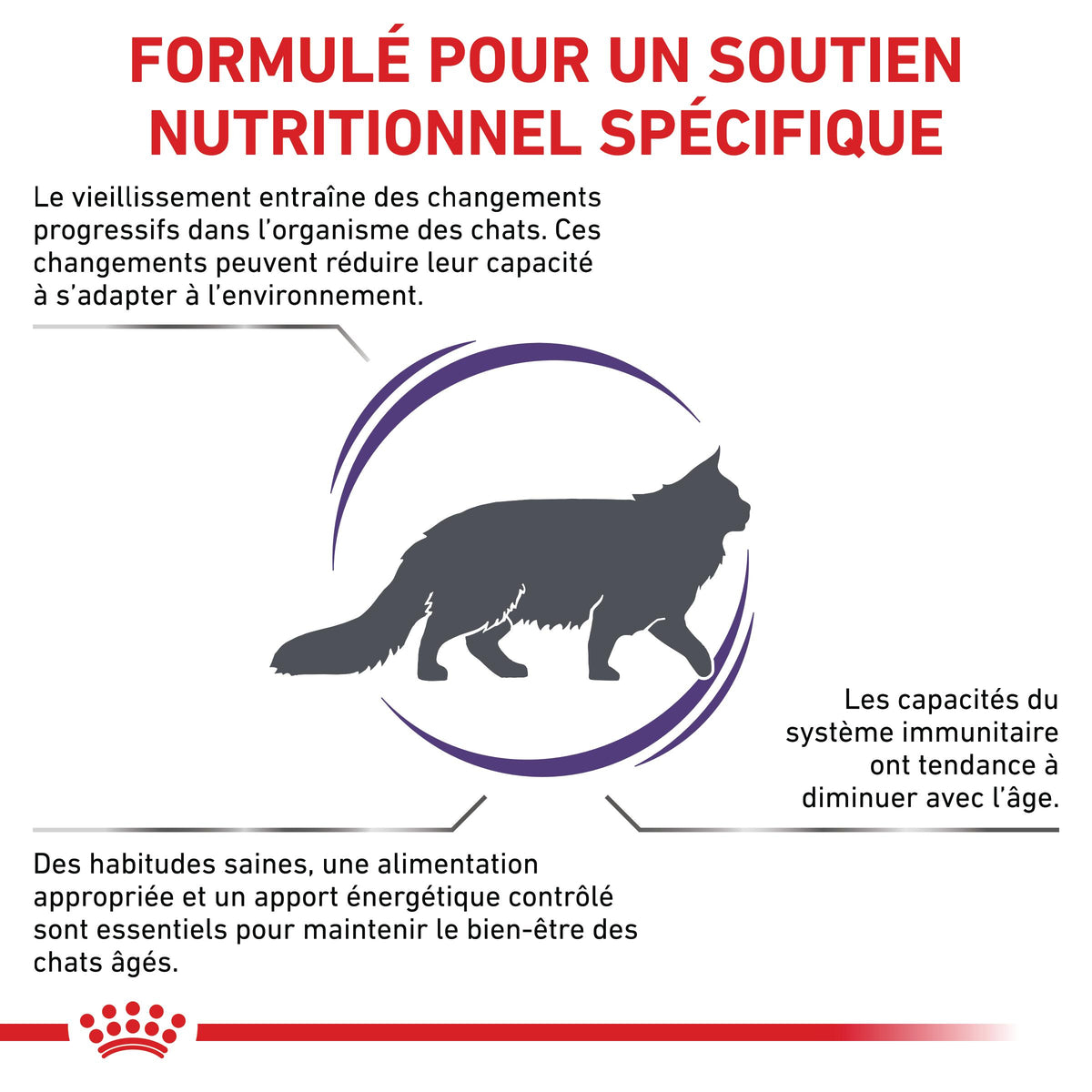 Royal Canin Vet Care Senior Consult Stage 1 Balance / Mature Consult Balance - croquettes chat