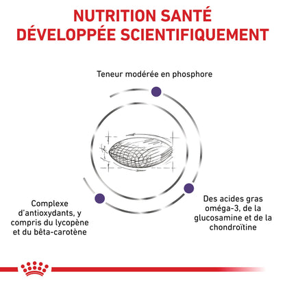 Royal Canin Vet Care Senior Consult Stage 1 Balance / Mature Consult Balance - croquettes chat