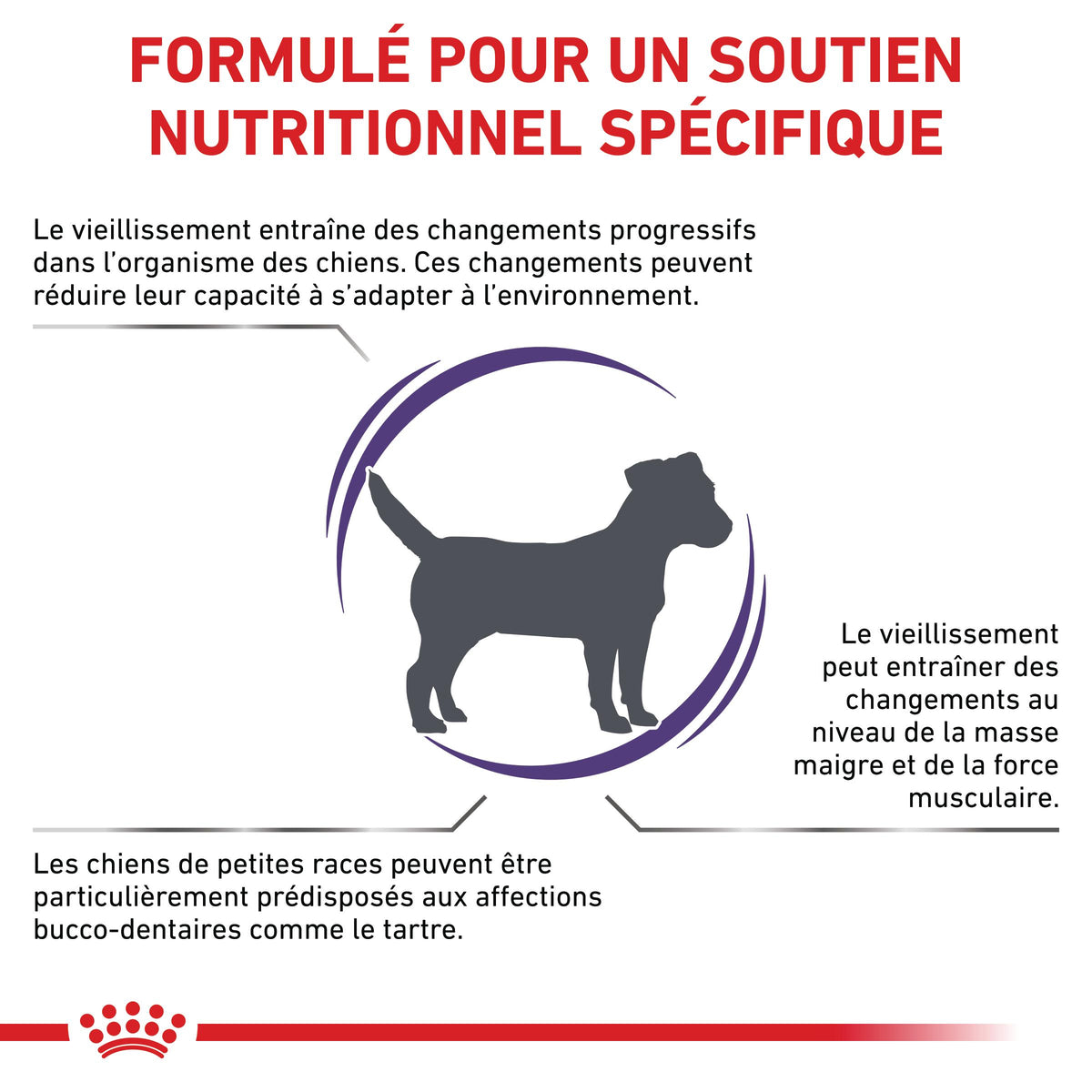 Royal Canin Vet Care Mature Small Dog / Mature Consult Small Dogs - croquettes chien