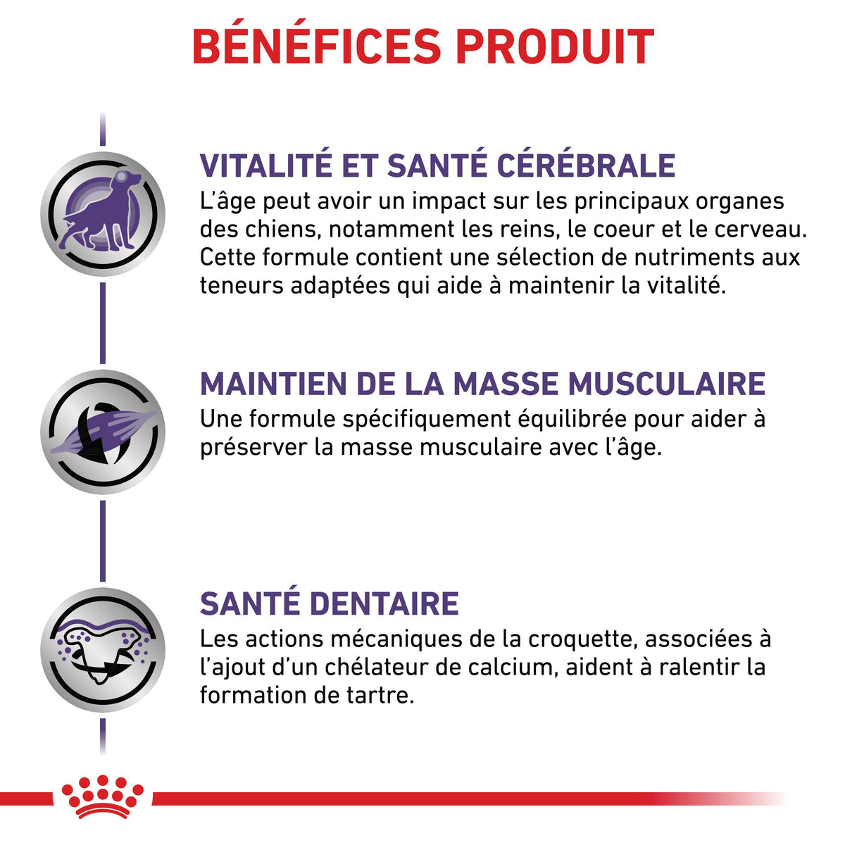 Royal Canin Vet Care Mature Small Dog / Mature Consult Small Dogs - croquettes chien