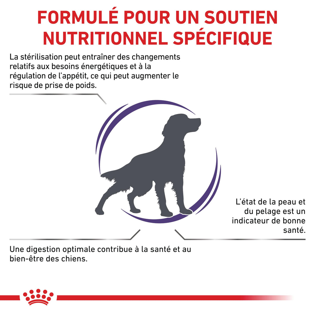 Royal Canin Veterinary Neutered Adult Medium Dogs - croquettes chien