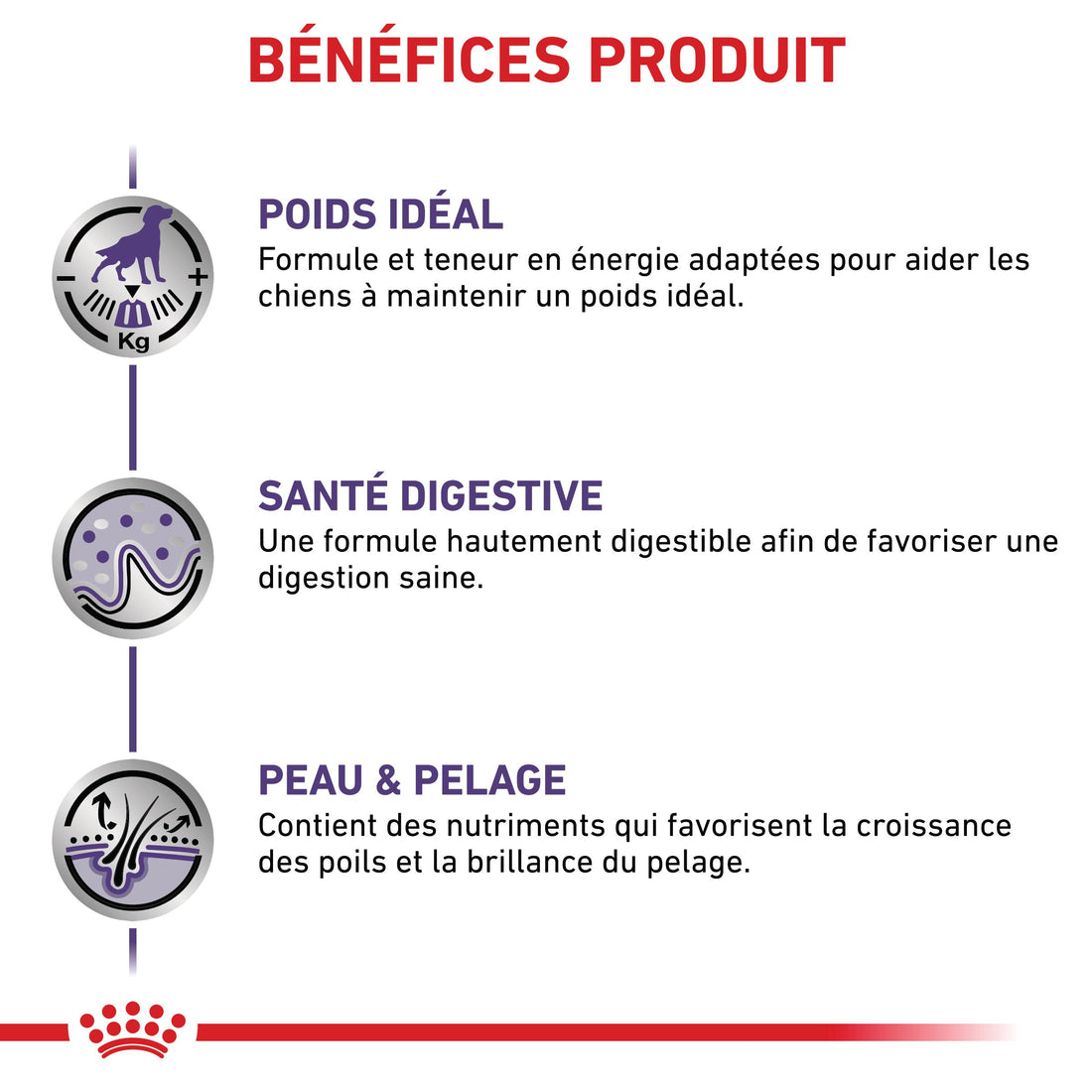 Royal Canin Veterinary Neutered Adult - pâtée chien