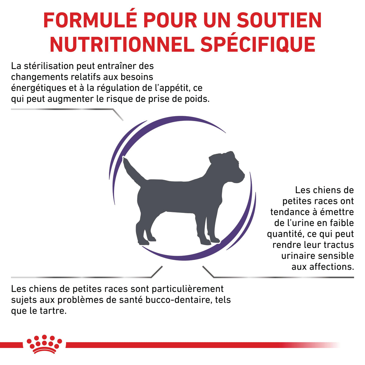 Royal Canin Veterinary Neutered Adult Small Dog - croquettes chien