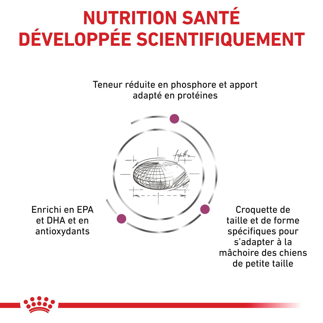 Royal Canin Veterinary Renal Small Dog - croquettes chien