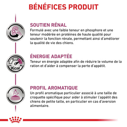 Royal Canin Veterinary Renal Small Dog - croquettes chien