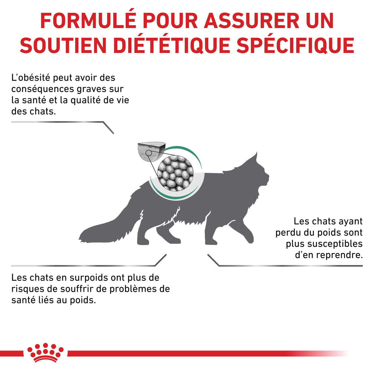 Royal Canin Veterinary Satiety Weight Management - aliment chat