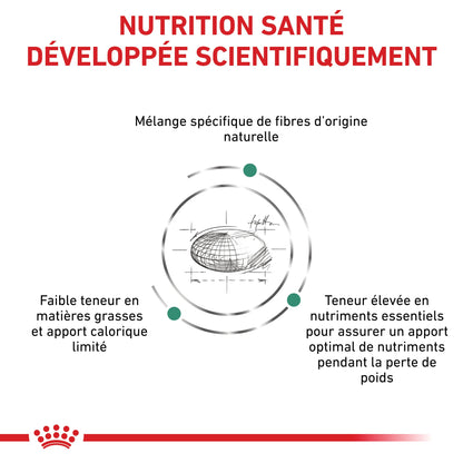 Royal Canin Veterinary Satiety Weight Management - aliment chat