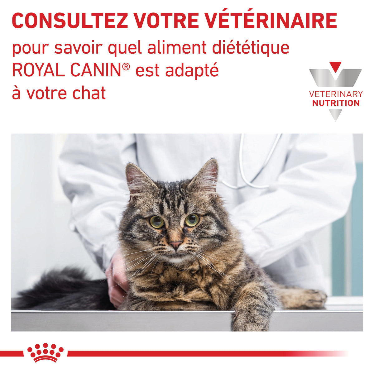 Royal Canin Veterinary Satiety Weight Management - aliment chat