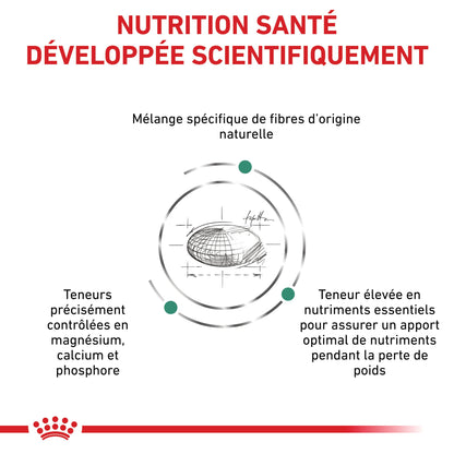 Royal Canin Veterinary Satiety Weight Management Small Dog - croquettes chien