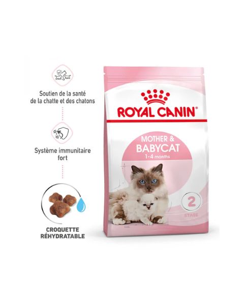 ROYAL CANIN Mother &amp; BabyCat - Croquettes pour chatte et chaton