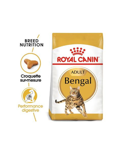 Royal Canin Bengal Adult - croquettes chat