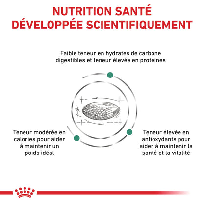 Royal Canin Veterinary Diabetic - croquettes chat