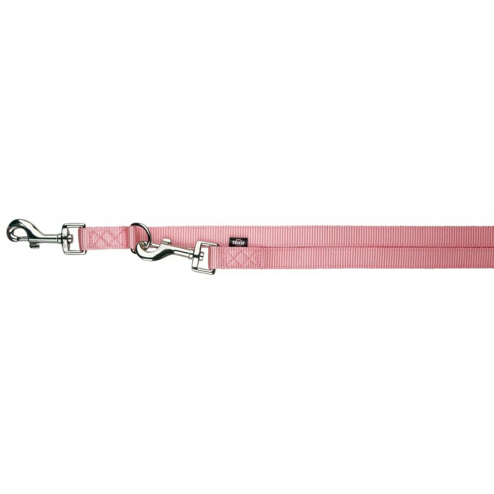 Laisse premium reglable pour chien