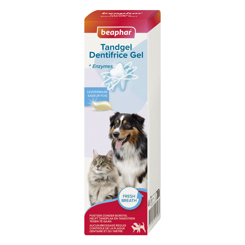 Dentifrice haleine fraîche sans rinçage chien, chat