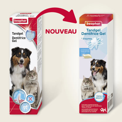 Dentifrice haleine fraîche sans rinçage chien, chat