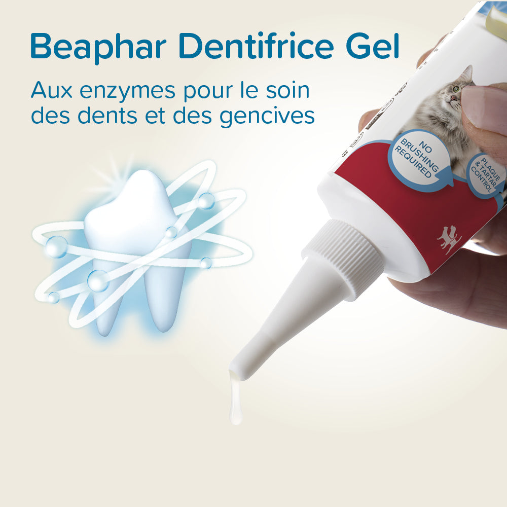 Dentifrice haleine fraîche sans rinçage chien, chat