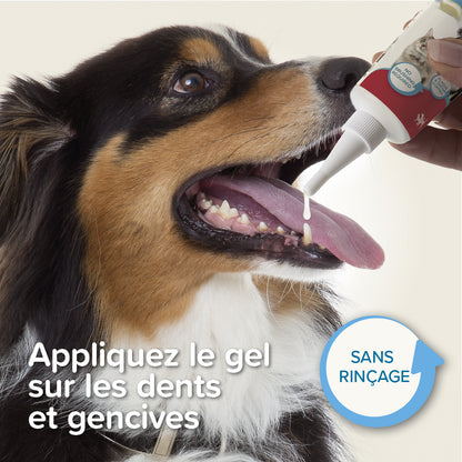 Dentifrice haleine fraîche sans rinçage chien, chat