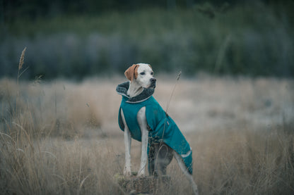 Pomppa Toppa Petrol manteau imperméable doublé chien