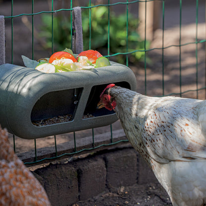 Mangeoire à fixer poules