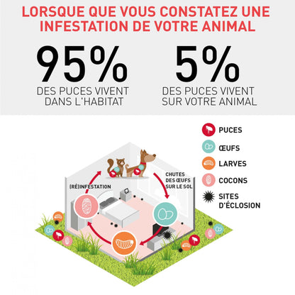 Frontline Spray chien et chat