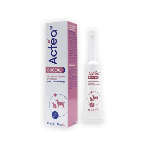Gel Actéa® Buccal chien, chat