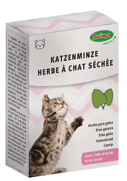 Herbe à chat séchée Catnip