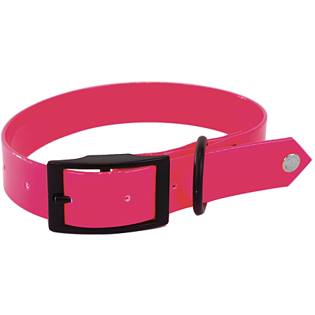Collier fluo chasse