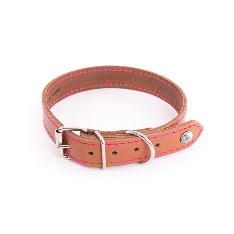 Martin Sellier - Chien - Collier cuir Flash couture fluo