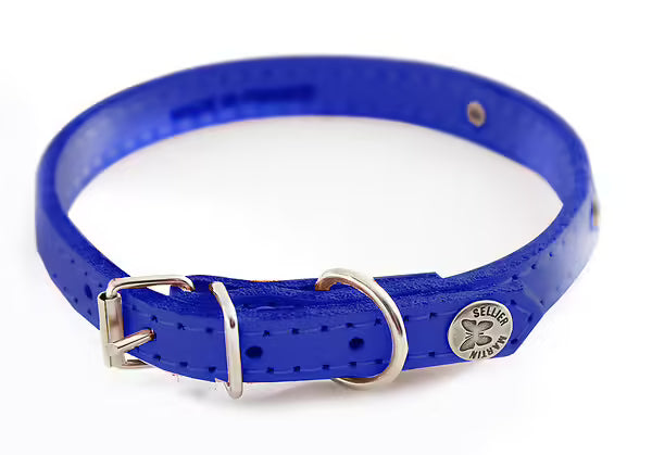 Martin sellier - Chien - Collier