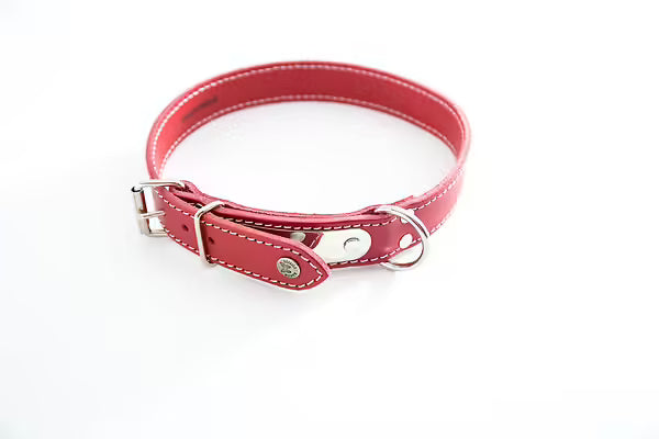 Martin Sellier - Collier cuir avec Plaque