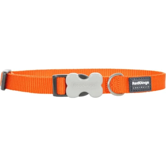 Red Dingo - Collier pour chien en nylon