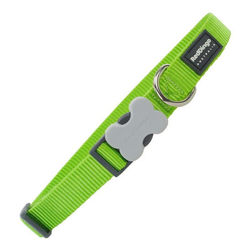 Red Dingo - Collier pour chien en nylon