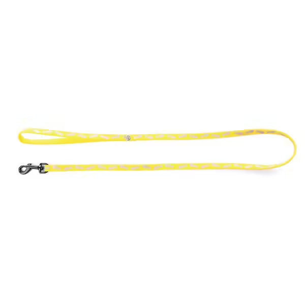 Laisse fluo fish