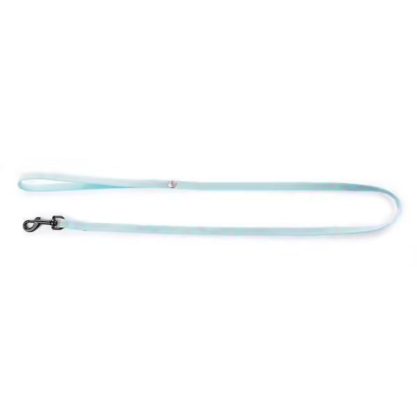 Laisse fluo fish