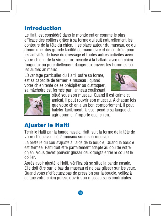 Licol Halti chien