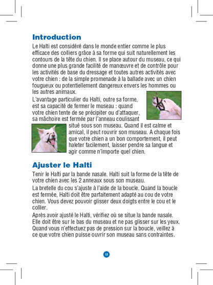 Licol Halti chien
