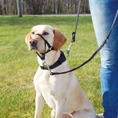 Harnais de dressage Top Trainer pour chien