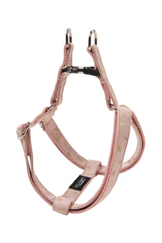 Wouapy - Harnais Star Parachute